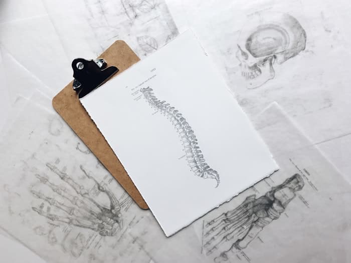 Chiropractors